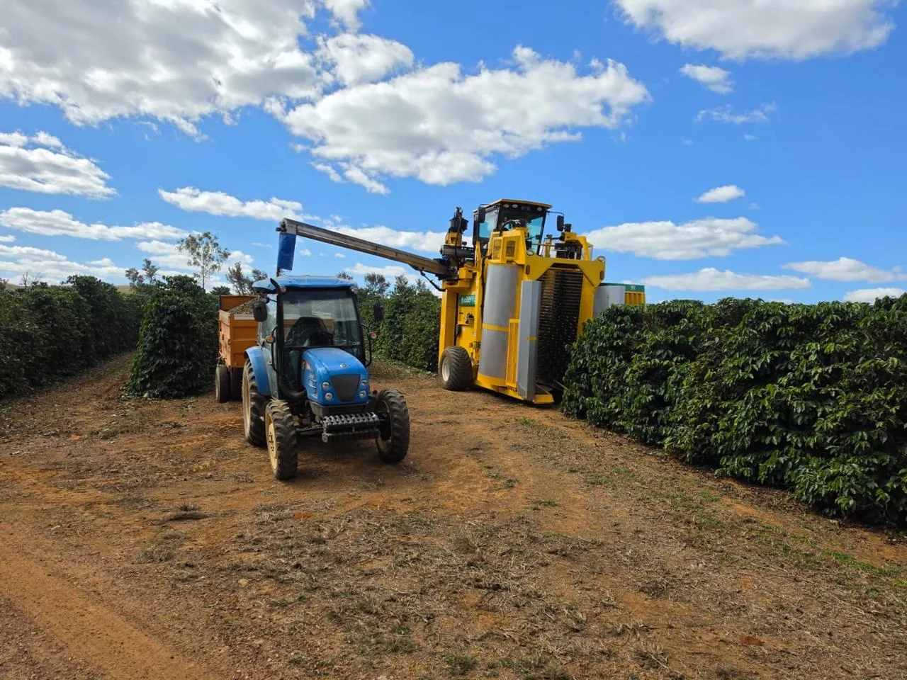 Equipamento de colheita sendo utilizado no cafezal