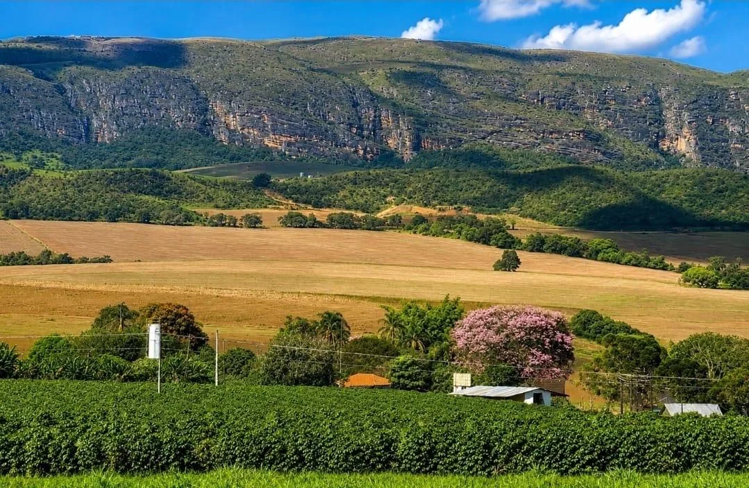 Vista ampla da paisagem montanhosa da região produtora